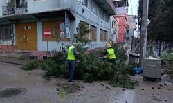 Bursa'da lodos ve sağanak çatıları uçurdu
