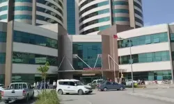 Köpeklerin saldırdığı 3 yaşındaki çocuk ağır yaralandı