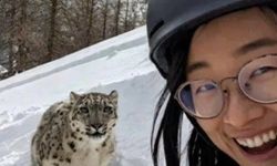 Leoparla selfie çekmek istedi, ölümden son anda kurtuldu