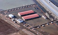 Sivas'ın dünyaca ünlü marka değeri Anadolu Aslanları su altında kaldı