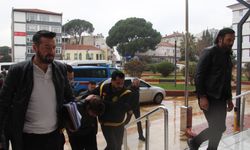 Aydın'da yaşlı çifti öldüren yabancı uyruklu zanlı tutuklandı