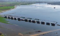 Uluabat Gölü taştı!! Akçalar'da bungalovlar, göl evi oldu