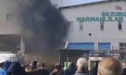 Bursa'da yangını vatandaşlar film izler gibi izledi