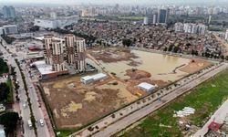 Adana'da, Coniler, Conolara komşu oluyor