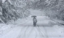 Japonya'da yoğun kar yağışında 35 kişi öldü, 358 kişi yaralandı