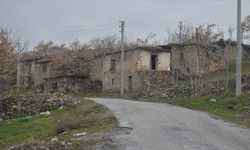 Türkiye'nin 70 köyünde 10 veya daha az kişi yaşıyor