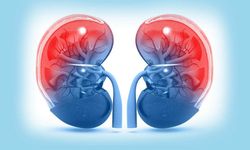 Dünyada her yıl böbrek hastalığından 11 milyon kişi ölüyor