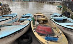 Uluabat Gölü'nden güzel haber