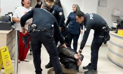 Oğlu sevgilisini bıçakladı, kendisi polisi tokatladı