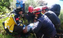 İncir ağacı hayatını kurtardı