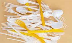 Tek kullanımlık Plastik çatal, tabak ve pipetler yasaklanıyor