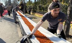 İstanbul'da hazırlanan 63 metrelik dev lahmacun Guinness'e girdi
