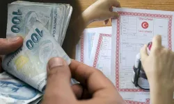 Tapuda zorunlu dönem 1 Temmuz'da başlayacak