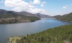 Son yağışlar Bursa'da barajları doldurdu, dereler coştu