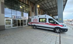 Van'da köpeklerin saldırdığı 5 yaşındaki çocuk hayatını kaybetti