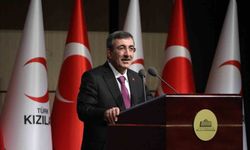 "Oyun platformlarına yönelik daha sıkı denetimler olacak"