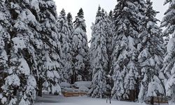 Mayıs ayında Bursa'ya kar sürprizi