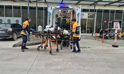 Bodrum'da kaçak göçmen faciası: 11 ölü