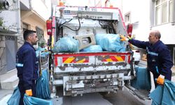 Osmangazi Belediyesi 73 bin ağacın kesilmesini önledi