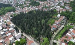 Bursa’da mezarlıklar bayrama hazır
