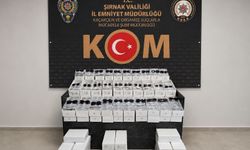 Şırnak'ta 5 milyon 700 bin liralık kaçak gözlük operasyonu: 1 tutuklama