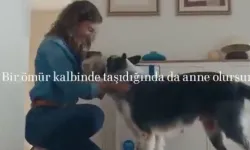 Bosch'un anneler günü reklamı, tepkiler üzerine yayından kaldırıldı