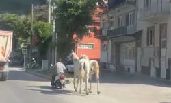 Kütahya'da atları motoruna bağladı, trafiğe çıktı