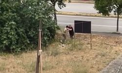Tartıştığı amcasını palayla öldürdü