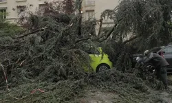 Fransa'da fırtına: 2 kişi öldü, 53 bin ev elektriksiz kaldı