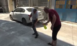 Bursa'da pireler sokağı istila etti