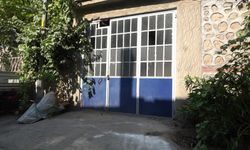 Mahalleyi pireler bastı! Apartmandan dehşet çıktı...