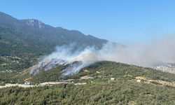 Bursa'da aynı anda 3 noktada yangın
