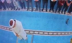 Camide kediyi tekmeleyen şahsa sosyal medyada tepki yağdı