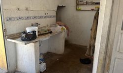 İğrenç görüntüler!! Böcekler arasında peynir üretimi