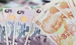 50 TL'lik ve 5 TL'lik yeni banknotlar tedavüle verildi