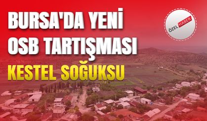 Bursa'da Yeni OSB Tartışması: Kestel Soğuksu