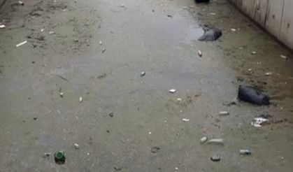 Bursa Gemlik körfezi çöplüğe döndü