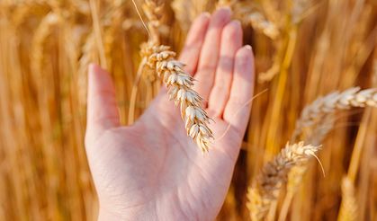 ’Glutensiz’ ifadesi, sağlıklı anlamına gelmiyor