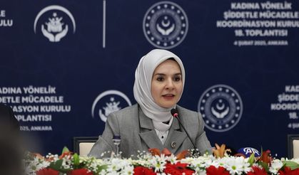 ‘Türkiye’de Kadına Yönelik Şiddet Araştırması’ tamamlandı