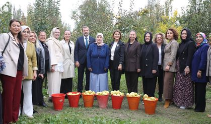 Topuklu iş kadınları ile şalvarlı köylü kadınları aynı tarlada