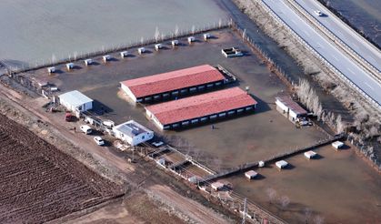 Sivas'ın dünyaca ünlü marka değeri Anadolu Aslanları su altında kaldı