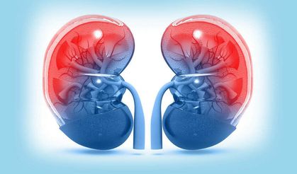 Dünyada her yıl böbrek hastalığından 11 milyon kişi ölüyor