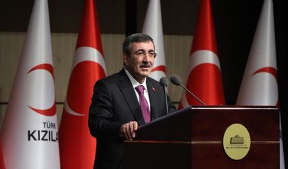 "Oyun platformlarına yönelik daha sıkı denetimler olacak"