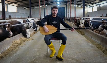 Ankaralı besici, kurbanlık hayvanlarına saz çalıp, türkü söylüyor
