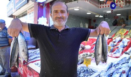 Yıllardır böylesi görülmedi: Karadeniz'den palamut fışkırıyor