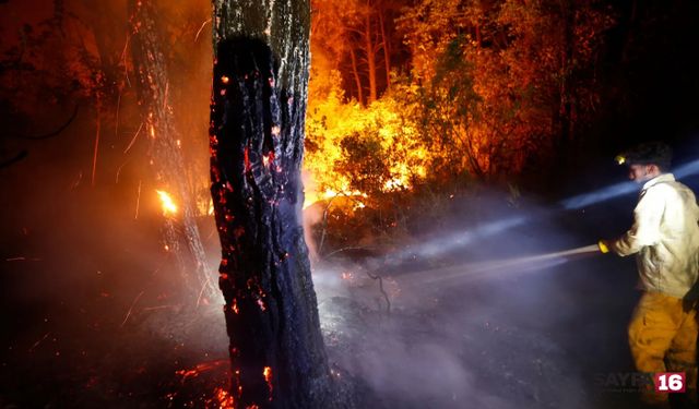 Antalya Kemer yanıyor!! Bakan Ersoy son durumu paylaştı