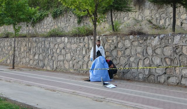 İş adamı Mehmet Köse iple ağaca asılı halde ölü bulundu