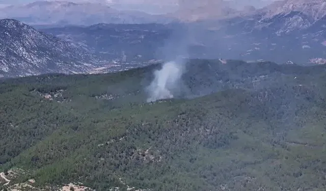 Bir Ayda 3 Orman Yangını Çıkardı: "Görevlilere Kızdım Yaktım"