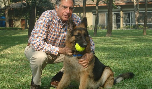 Dünyanın sayılı zenginlerinden Ratan Tata, mirasını köpeğine bıraktı