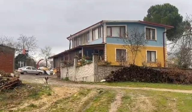 Sakarya Kaynarca'da annesini öldürdü